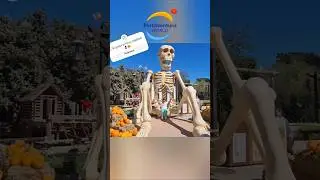 Las calaveras #portaventura #halloweenportaventura #halloween #lasaventurasdeisaias #shorts