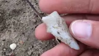 Serrated QUARTZ Kirk! ~ 253  Artifact Find! Dec 2014
