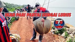LESEN IKAN PARI 2026 DI SUNGAI LURUS BATU PAHAT