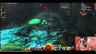 How to do Canach single player easily