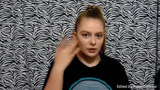 Review on the silicone brushes