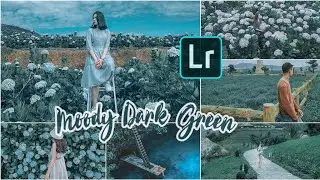 Moody Dark Green preset |Free lightroom presets #22