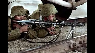 German 5th  Panzer Wiking Division 1941-1945