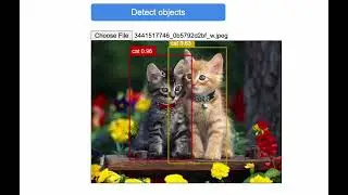 tensorflowjs  and javascript image recognition with cocco ssd