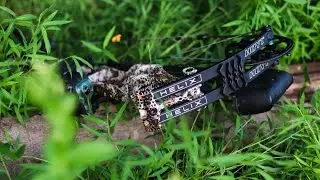 Лук Hoyt Helix Bow, изготовленный по индивидуальному заказу, в Badlands для Плохого Парня