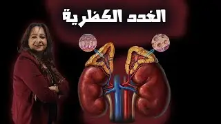 الغدة الكظرية  ||  #تالتة_ثانوي