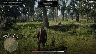Red Dead Redemption 2 Oleander Sage Location