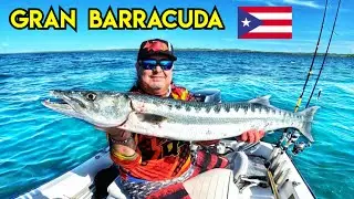 PESCA de GRAN BARRACUDA con MI PAP&Aacute; - Pescando en Cabo Rojo Puerto Rico