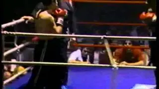 Thériault vs Brewer. April / Avril 1982