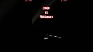 GT500 vs FBO Camaro #camaro #shelby #gt500