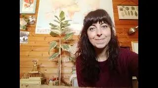 INTERVISTE VEGANE: Violino Viola