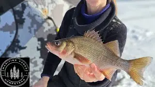 Hardwater fishing White Perch / New Brunswick, Canada