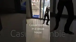 casual zombie :l #cat #memes