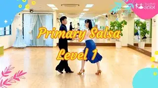 Primary Salsa Level 1
