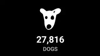 $20,000 DOGS Pre Minting and Crypto Airdrop Loot