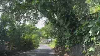Driving the Legendary Road to Hana | Maui, Hawaii