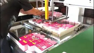 Automatic Die Cutting Sheet Waste Stripping Machine for Paper/Cup/Box Plate Making
