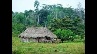 Flor Silvestre - Mi casita de paja (1964)