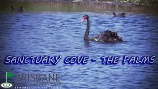 SANCTUARY COVE - THE PALMS PART 1