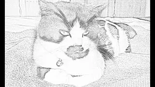 Make Photo Look Like Pencil Drawing - Photoshop CS6