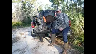 Florida's Ocala Forest Quota Turkey Hunt, What an Experience