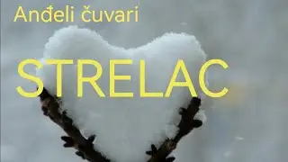 STRELAC - 🥂🍀Tarot čitanje 💫Postavljate sve na svoje mesto! 