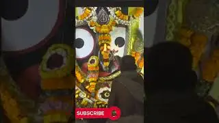 Jagannath Puri Sandhya Aarti Darshan | Patitapabana Aarti | Divine Live Darshan