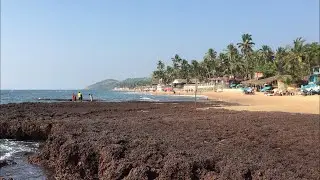Night curfew in Goa. Anjuna Beach