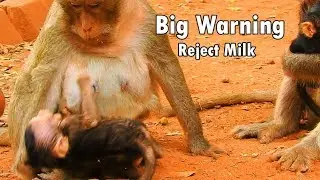 Big Warning To Reject Milk !!! Baby TITAN innocent Tara No Listen Reason Hit Her Baby To Reject Milk