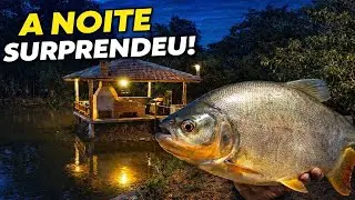 Chegamos de Noite na Represa… Olha o Que Aconteceu#peixenalinha #pescaria #matrixa#pacu#represa#pesc