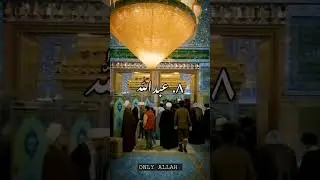 Ali🩸&hearts;️❤️🙏 #ali #hassan #muhammad #abass #panjatanpaak #hussain #allah #fatimazehra #alimola
