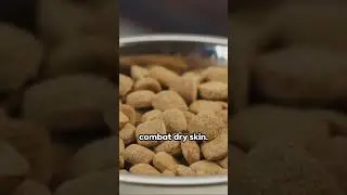 Top 5 Dog Food Brands for your beloved dog , help with dry skin, eliminate food allergies.