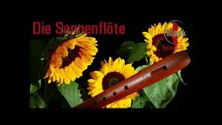 Die Sonnenflöte für Waldorfschulen