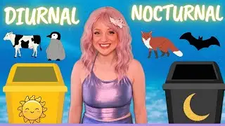 NOCTURNAL & DIURNAL ANIMAL SORTING GAME WITH MATILDA THE MERMAID| FUN, INTERACTIVE & EDUCATIONAL