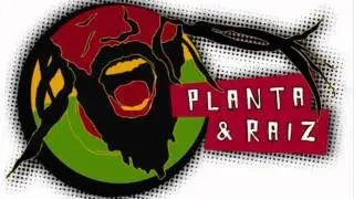 Planta e Raiz - Roots Reggae Groove