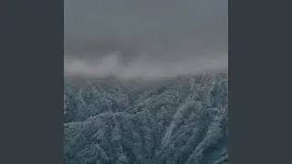 In The Misty Dream Till The Dawn
