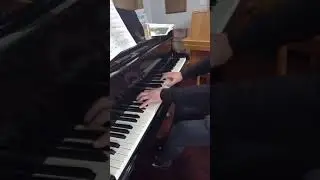 Max Erskine plays Liszt: Au Lac de Wallenstadt