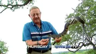 KEYE TV - May Sweeps 2011 -  