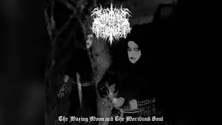 Scope of the Paradox - Purification Through Pain