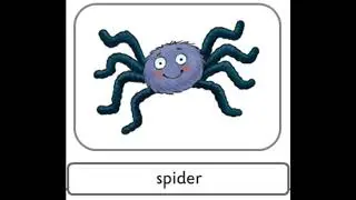 Vocabulary Unit 4: Wild Animals (Big Surprise 1)
