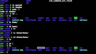 Linux 002 - The Root File System
