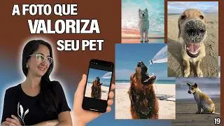 Como Captar Fotos Lindas do Seu Cão na Praia pelo Celular