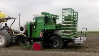 Agriplanter automatic transplanter - 2SP-A - tomatoes