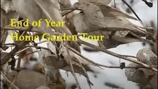 End of Year Home Garden Tour