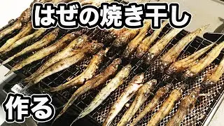 釣魚料理！　はぜの焼き干しは意外と大変だ‼️   【小物釣り  はぜ  マハゼ】