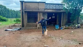 finally mama grace house plaster God is  done thank you for 30k subscribe 🙏 I am mayuguno is live!