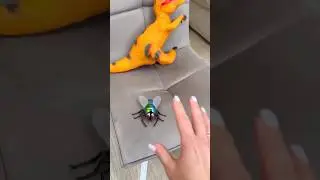 Introducing the 