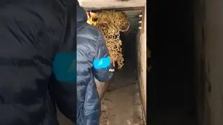 ПОМИМО НАС👥 В БУНКЕРЕ БЫЛ КТО-ТО ЕЩЕ😱 #vlog #fail #scary