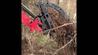 Mastering the Tractor Grapple: Forest Clearing Pro