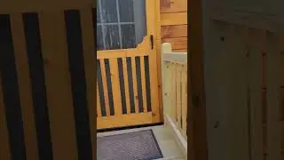 Mining Bitcoin Gold & other algorithms at the cabin in Maine!